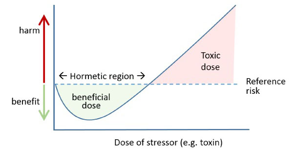 Hormesis